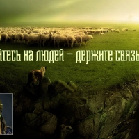 Открыть категорию